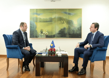Kurti dhe Guvernatori i BQK-së diskutuan për zgjidhjen e Kartonit të Gjelbër