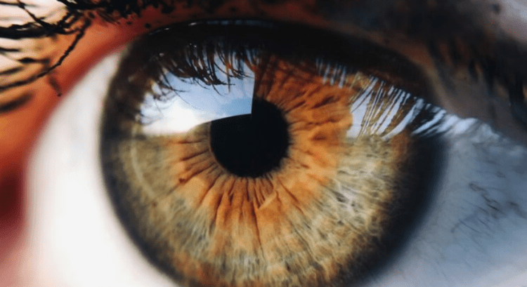 Disa mënyra të thjeshta si të kujdeseni për shëndetin e syve