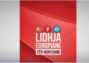 LEN: BDI nuk është parti por oktapod krimi dhe biznesi