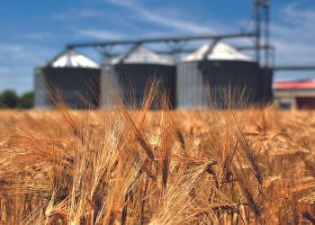 Lufta në Ukrainë vazhdon të shkaktojë paqëndrueshmëri në sektorin e bujqësisë në mbarë botën