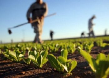 Qeveria ndan 4 milionë euro për t’u kompensuar bizneseve dhe bujqve dëmet nga vërshimet