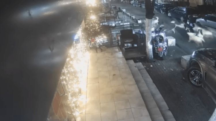 Një grua sulmohet nga tufa e qenve endacakë në një lagje të Prishtinës