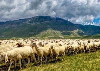 Tradita e lashtë që praktikohet edhe në Shqipëri futet në UNESCO