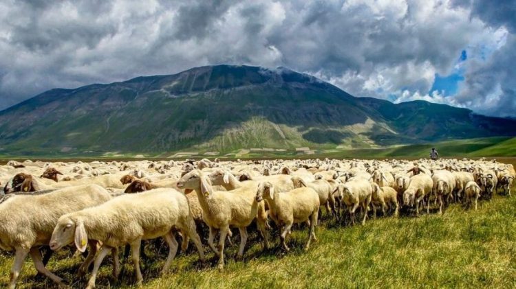 Tradita e lashtë që praktikohet edhe në Shqipëri futet në UNESCO