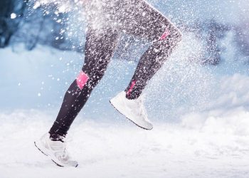 Studim: Të qenit shumë aktiv nxit plakjen