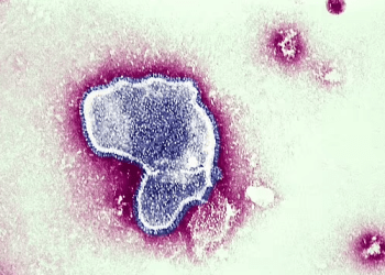 Vaksina kundër virusit të kollës së dimrit mund të ulë shtrimin në spitale në mbi 80%