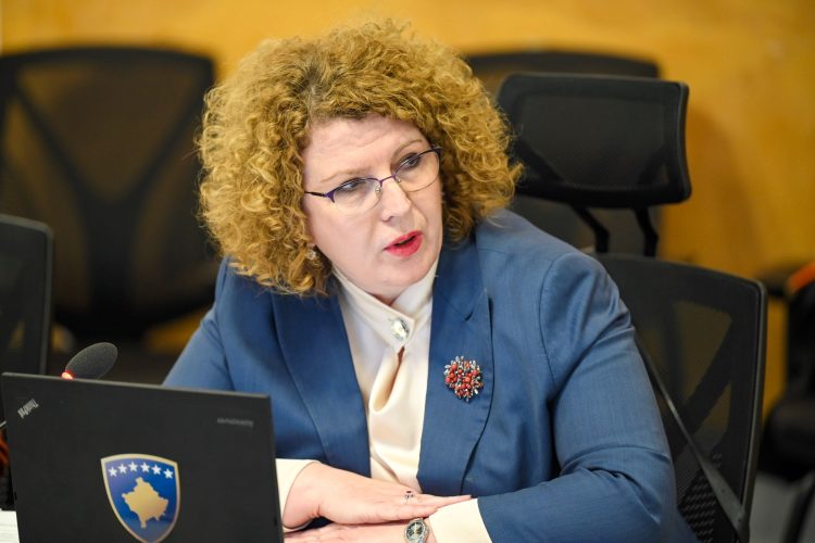 Hajdari nga Austria: Njoftuam palët për zhvillimin ekonomik dhe demokratik