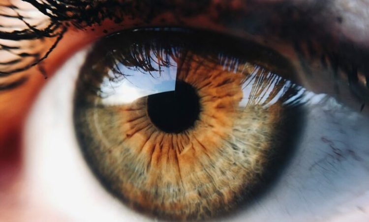 Sekreti pas dridhjes së pavullnetshme të syrit