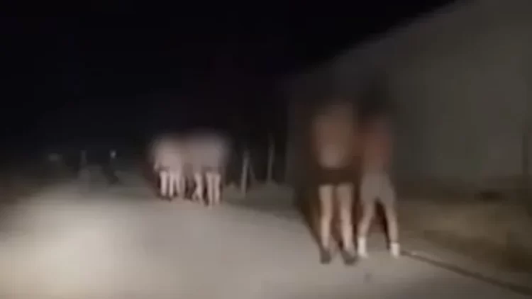 VIDEO: Tortura dhe poshtërime! Policia serbe detyron emigrantët në kufirin me Maqedoninë të zhvishen në temperatura të ulëta