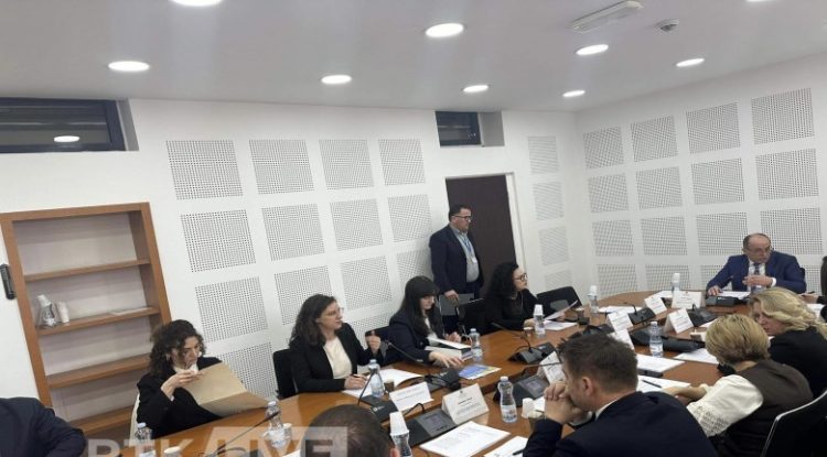 Rizvanolli raporton në Komisionin për Ekonomi|Video