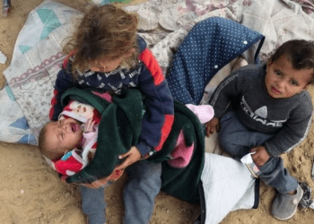 Rinisin bisedimet për armëpushim në Gaza, Rafah mbetet nën zjarr