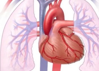 Virozat ndikim negativ tek të sëmurët kardiakë