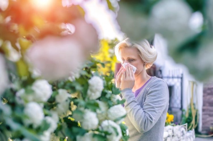 Si të lehtësoni sikletin e alergjive në pranverë?