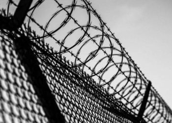 Amnistia penale në Shqipëri, pritet të fitojnë lirinë 700 të burgosur