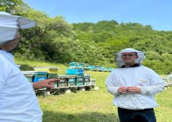 Ministria e Bujqësisë mbështet me 8,5 milionë euro sektorin e bletarisë