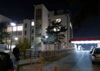 Gazetarja sulmohet nga qentë endacakë tek Menza e Studentëve, thotë se edhe një grua u sulmua tek Termokosi