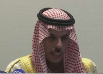 ‘Zgjidhja dy shtete, Palestinë e Izrael’, kreu i diplomacisë arabe: Duhet të mbahet gjallë kjo ide