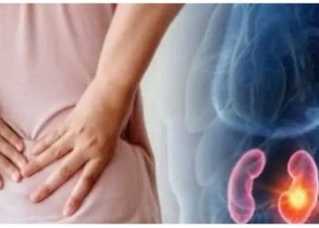 Kurat e shpejta natyrale kundër gurëve në veshka, ja ushqimet që duhet të shmangni