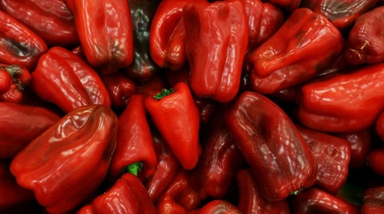 Tri ushqime të shkëlqyera për shëndetin e përgjithshëm