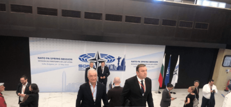 Në Sofje vazhdon mbledhja e AP-së të NATO-s, Kosova nesër në agjendë