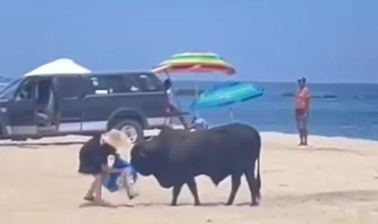 Meksikë, demi sulmon një grua në plazh (Video)