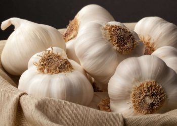 Nëse dëshironi presion më të mirë të gjakut, hani këto katër ushqime