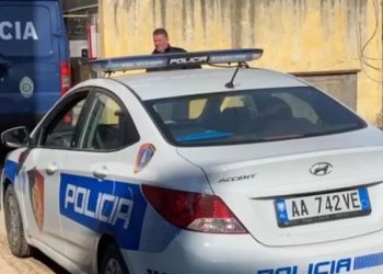 Tragjedi në Lezhë, dyshohet se djali e ka vr*arë nënën