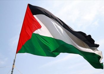 Irlandezët të kënaqur me njohjen e shtetit të Palestinës nga vendi i tyre