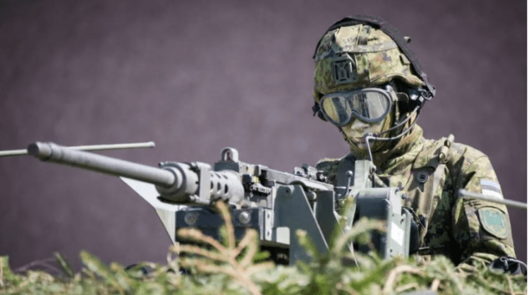 ‘Nuk kemi plan B, nëse Ukraina bie’, shteti i NATO-s në kufi me Rusinë ngre alarmin