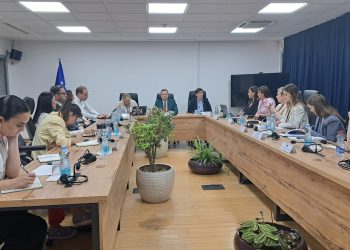MD-ja: Kosova shteti i parë në rajon që inicion hartimin e Projektligjit kundër Femicidit