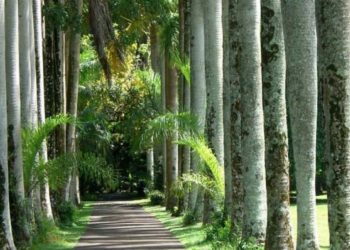 Dhjetë kopshtet e mrekullueshme ku gjithnjë është pranverë(Foto)