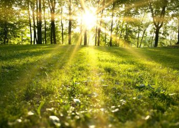 Mot më i freskët gjatë javës së ardhshme