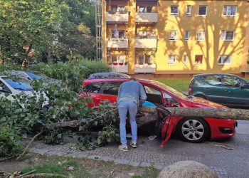 Gjermani: Dega e pemës bie në veturë, lë të ngujuar babain me dy fëmijët e tij