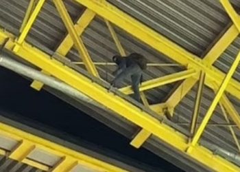 Frikë pas ndeshjes Gjermani-Danimarkë, policia ndaloi një person në çati