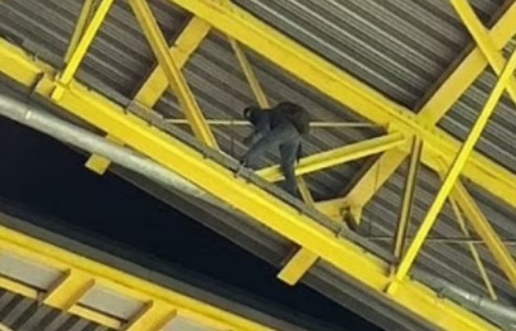 Frikë pas ndeshjes Gjermani-Danimarkë, policia ndaloi një person në çati