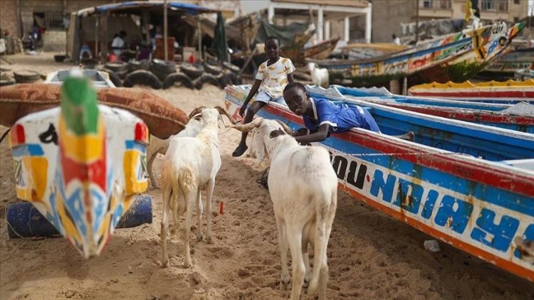 Në Dakar të Senegalit falet namazi i Bajramit