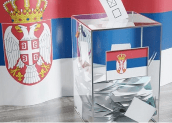 Zgjedhjet në Serbi, Hebibi: Nuk iu dha shumë hapësirë votës së diasporës shqiptare