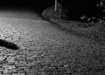 Nëna raporton vajzën e zhdukur në Prishtinë