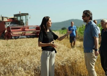 Rama: Përmirësime të mëdha në prodhimin e grurit në kryeqytet