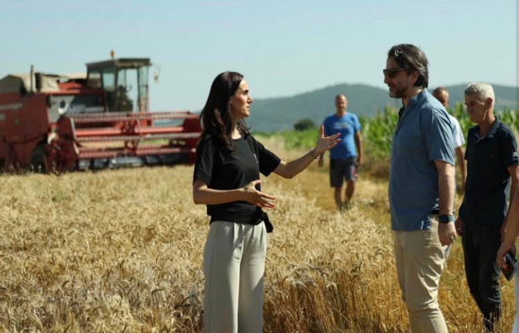 Rama: Përmirësime të mëdha në prodhimin e grurit në kryeqytet