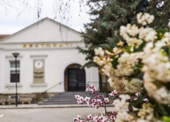 Universiteti i Prishtinës mirëpret miratimin e Statutit: Standard i ri i funksionimit