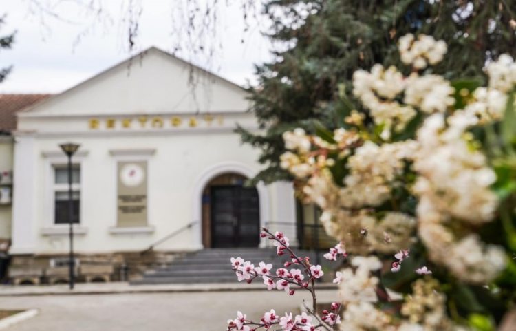 Universiteti i Prishtinës mirëpret miratimin e Statutit: Standard i ri i funksionimit