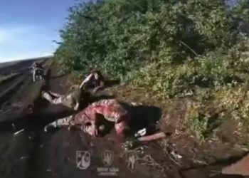 Dhjetëra ushtarë rusë dorëzohen te ukrainasit, pamje nga fushëbeteja