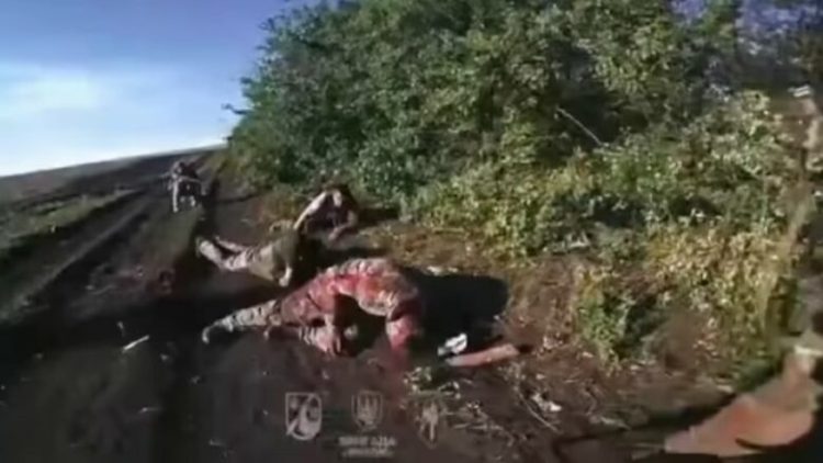 Dhjetëra ushtarë rusë dorëzohen te ukrainasit, pamje nga fushëbeteja