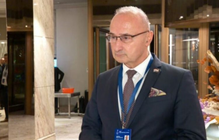 Radman: Mali i Zi tregoi dy fytyra me Rezolutën për Jasenovacin