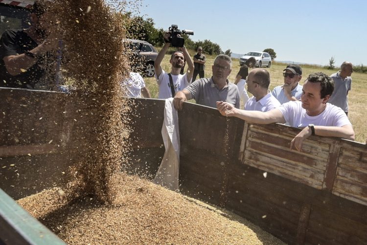 “Për bukën e mot-motit”, Kurti nga Malisheva: Prodhimtaria e grurit në Kosovë do të tejkalojë nevojat për import