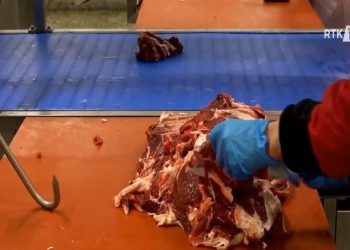 Kosova shton kontrollet për mishin që vjen nga Brazili (VIDEO)