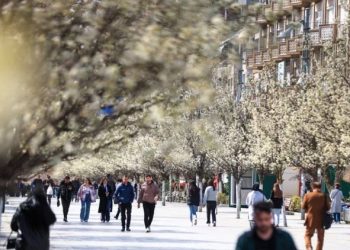 Kosova me moshën më të re në Evropë, balanca gjinore e përkryer: Çka na tregojnë të dhënat e regjistrimit të popullsisë?