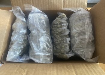 Dogana kap një kilogram kanabis, ishte nisur me postë nga Amerika