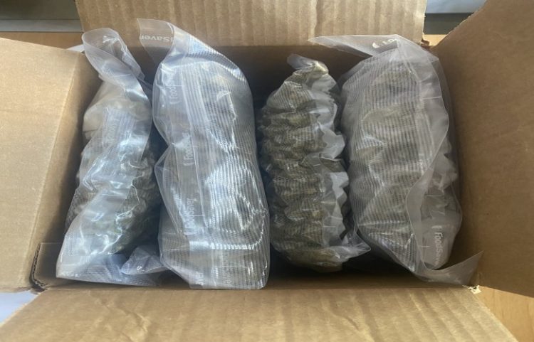 Dogana kap një kilogram kanabis, ishte nisur me postë nga Amerika